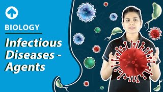 Infectious Diseases  Agents  Biology [upl. by Rodablas466]