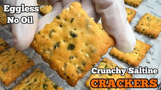 Homemade Crunchy Saltine Crackers Recipe  StepbyStep Tutorial  Delicious Biscuits [upl. by Ynaittirb]