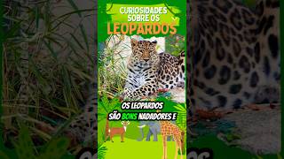 O Leopardo Caçador Silencioso das Savanas e Florestas animais felinos natureza zoologia [upl. by Adlar]