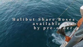 2024 Halibut Season Coming Soon  Share Box PreOrders Now Available [upl. by Royall700]