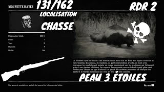 Tout Les Animaux 131162 La Moufette Rayée Localisation Red Dead Redemption 2 [upl. by Gaul]