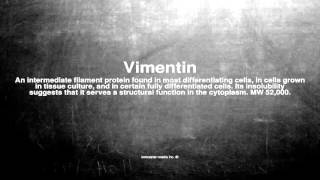 Medical vocabulary What does Vimentin mean [upl. by Tound]