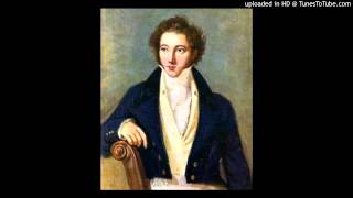 Vincenzo Bellini  Sinfonia in re minore  II Allegro con spirito [upl. by Thomasina]