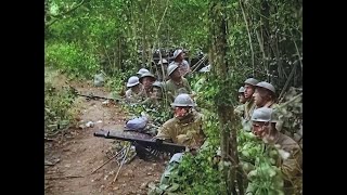 WWI Footage  Colorized amp HD Restoration  MeuseArgonne Offensive 1918 [upl. by Olegnaid]