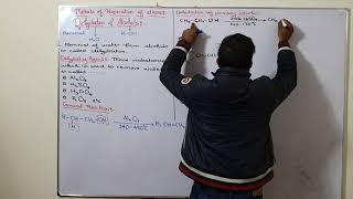 Methods of Preparation of Alkenes  Dehydration of Alcohols  ch8  12th class chemistry [upl. by Camp66]