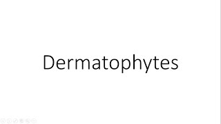 Dermatophytes  Microbiology [upl. by English514]