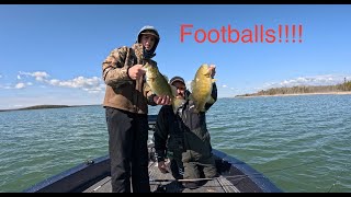 17 smallies in 30 minutes doubles [upl. by Nivag]