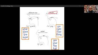 English Consonants Approximants — l ɹ j w [upl. by Eiaj860]