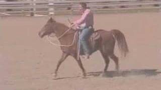 Gaited Horses Naturally [upl. by Frost293]