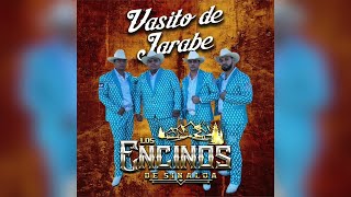 Los Encinos De Sinaloa quotVasito De Jarabequot Album Completo 2022 [upl. by Emmy]