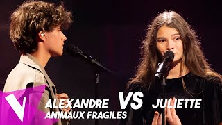 Ycare amp Zaz  Animaux fragiles ● Alexandre amp Juliette  Duels  The Voice Belgique Saison 11 [upl. by Amsaj503]