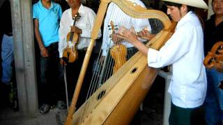 LOS MARINEROS DE TEPALCATEC EN COALCOMAN MICHOACAN [upl. by Balfour717]