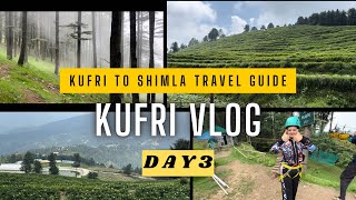 SHIMLA VLOG  Day 3  Shimla to Kufri Travel Guide  कुफरी में घूमने वाली जगह  Shimla Kufri by Road [upl. by Wilow]