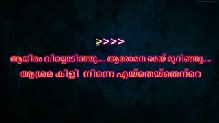 aayiram villodinju karaoke with lyrics  Malayalam karaoke  Akkarapacha  Aayiram Villodinju [upl. by Riatsala314]