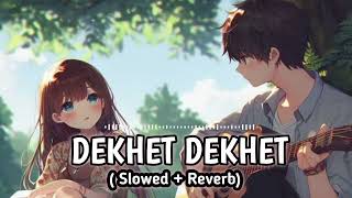 Dekhte Dekhte Il slowedreverb [upl. by Chellman]