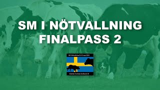 SM i Nötvallning 2024  Finalpass 2 [upl. by Lewanna]