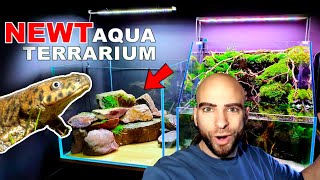 BUILDING A NEWT WATERFALL AQUATERRARIUM  PALUDARIUM  MD FISH TANKS [upl. by Ridgley821]