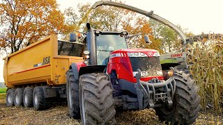 Mais hakselen Van Bakel Dairy 2015  Claas Jaguar 980 MF 8737 MF 8670 CAT 966M USA Equipment [upl. by Egap303]