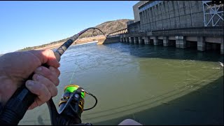 Fishing Below Guntersville Dam Pulling Over 35000gps [upl. by Reivaxe]