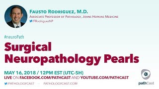 Surgical neuropathology pearls  Dr Rodriguez Hopkins NEUROPATH [upl. by Immac203]