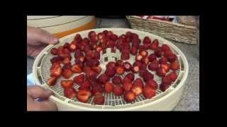 How to dehydrate strawberries [upl. by Venator]