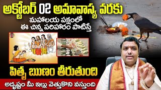 మహాలయ పక్షంలో ఈ పరిహారం చేస్తే అదృష్టం Mahalaya amavasya 2024 date  Mahalaya paksha 2024 telugu [upl. by Eedna]