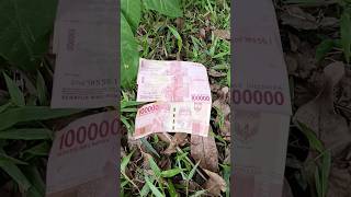 finding a lot of money and millipede pills shortvideo [upl. by Oiceladni]