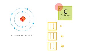 Distribución de los electrones en un átomo parte 2  semana 10 [upl. by Ojoj272]