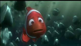 Best Movie Scenes Finding Nemo 2003 [upl. by Anna-Maria]