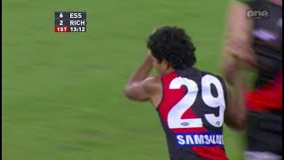 Essendon Highlights  Rd 9 2010 v Richmond [upl. by Rohn]