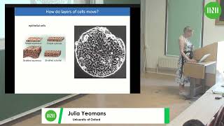 Prof Julia Yeomans  Modelling collective cell dynamics using active matter physics [upl. by Macur326]