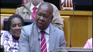 quotIm not scared of Bladequot  Julius Malema and Blade Nzimande clash in Parliament [upl. by Adnoma]