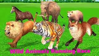 Forest Animals Running Race Game in Forest  Funny Animals Comedy Videos 3D Cartoons [upl. by Ihsoyim55]