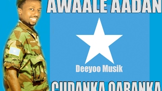 AWALE AADAN HEES WADANI CUSUB CIIDANKA QARANKA SOMALIYA 2017 [upl. by Elyrehc]