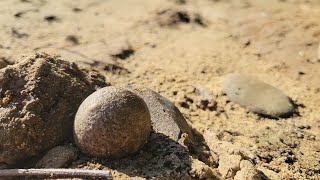 Arrowhead hunting the Ohio River 2023 [upl. by Gonta]