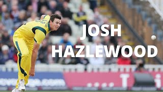 The Best Of Josh Hazlewood  Wicket Compilation [upl. by Bari964]