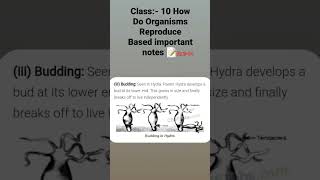 Class 10 How do organisms reproduce based important notes 📝 for all students part 04 [upl. by Zora]