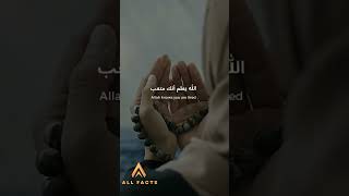 Dont Give Up  Allah Knows you are tired facts islamicpost realitycheck realityvideo [upl. by Nniuqal]