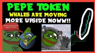 Meme Token Review  🔥 Chi Yamada Cat 🔥 INCLUSIVE INVESTMENT MODEL [upl. by Jeritah]