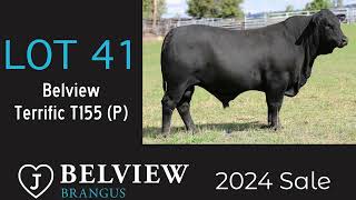 Lot 41 Belview Terrific T155 P [upl. by Arihsan282]