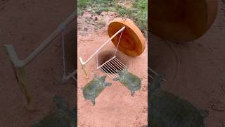 Survival SkillsSimple But Very Useful with turtle deep hole trap survival shorts outdoor [upl. by Ahsilam]