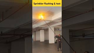 How to sprinkler system check  sprinkler blasting amp flushing processfiresprinklersprinklersystem [upl. by Bettye]