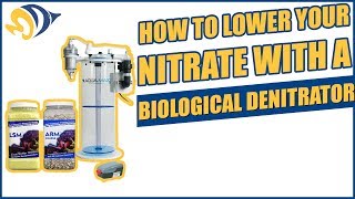 How to Lower Your Nitrate with a Biological Denitrator [upl. by Airamat]