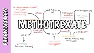 Methotrexate  Pharmacology DMARDs mechanism of action side effects [upl. by Ellehcyar206]