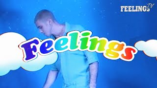 Lauv  Feelings Official Visualizer [upl. by Kcolttam]