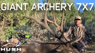 Wyoming GIANT BULL ELK on Public Land  Archery 7x7 [upl. by Giacobo]