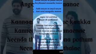 Paathi neeye en paathi neeye song lyrics [upl. by Adliw]