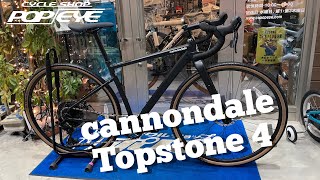 Cannondale Topstone Neo SL 2  2023  graphite EGravelbike WALKAROUND [upl. by Lucio]