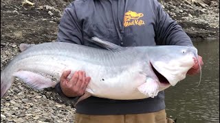 How to catch more catfish in the winter [upl. by Lerej]