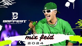 Dj Baffert  Reggaeton Mix Feid 2024  Brickell  50 palos  La Vuelta  Desquite [upl. by Mirna]